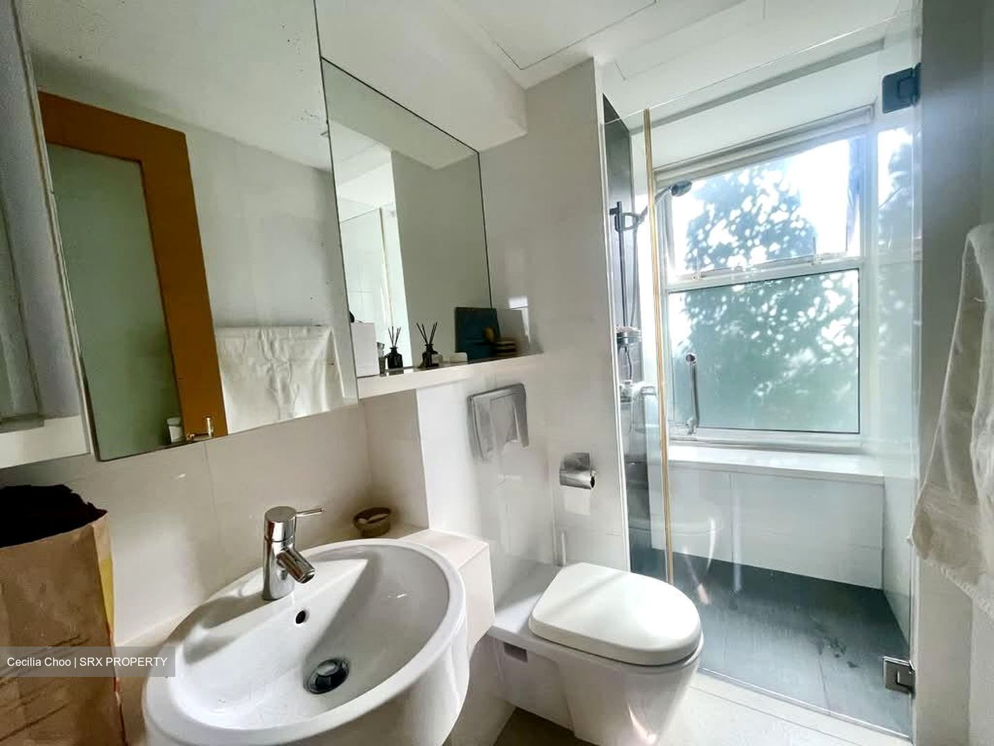 Parc Emily (D9), Condominium #550116401